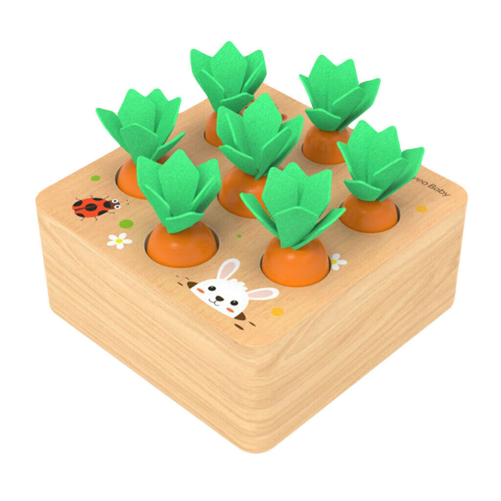 Wooden Carrot Board Finger Flexibility Kit Early Educational Color Gift