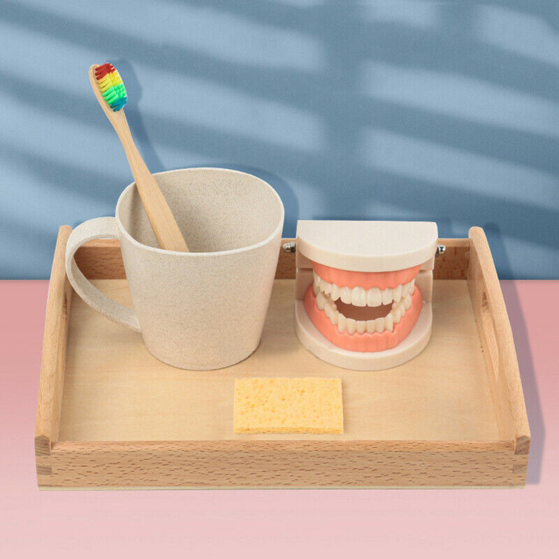 Educational Toys for Children Kids Intelligence Brushing Tooth Teaching AidsFCA
