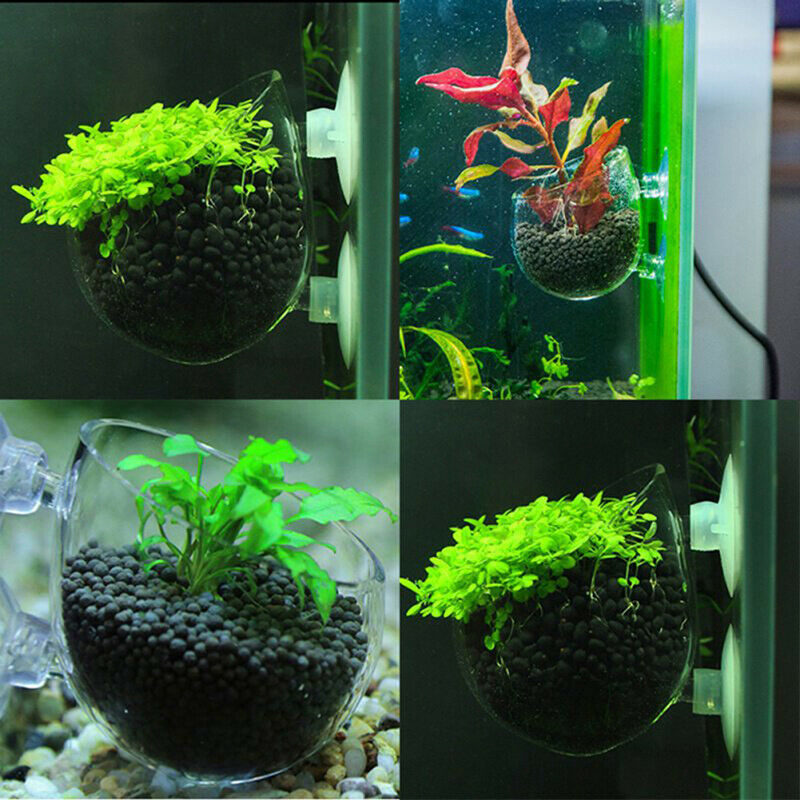 Cultivation Cup Aquatic Plant Cup Pot with Suction Cups for Fish Tank Aquar Tt