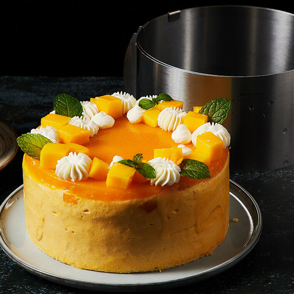Adjustable Cake Ring Mold 6 to 12 Inch Stainless Steel Mousse Ring Pastry LIN