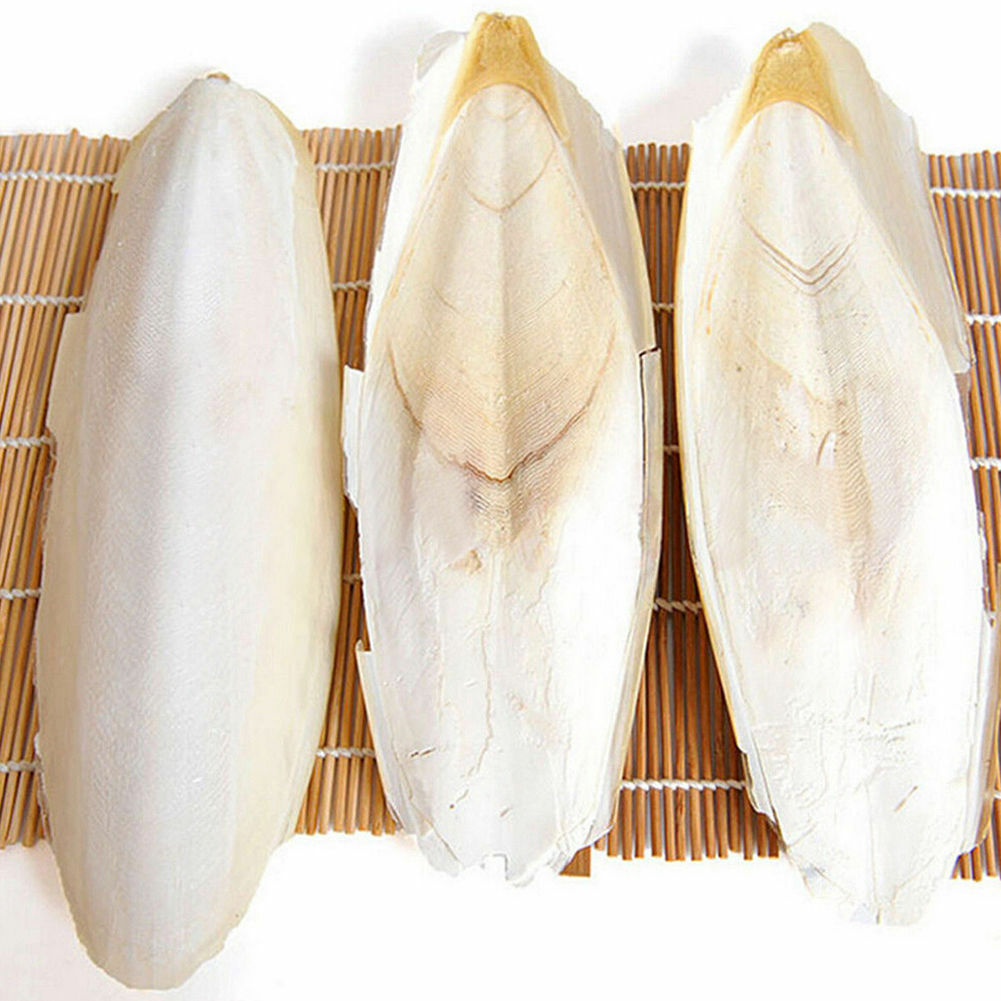 1 Pack Cuttlefish Cuttle Fish Bone Parrotts Birds Reptiles Rabbits Tortoise Food