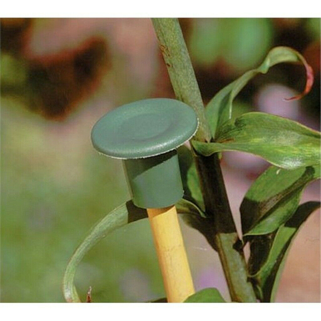 12x Green Plastic Cane End Caps Garden Cane Caps Bamboo Protectors 3cm