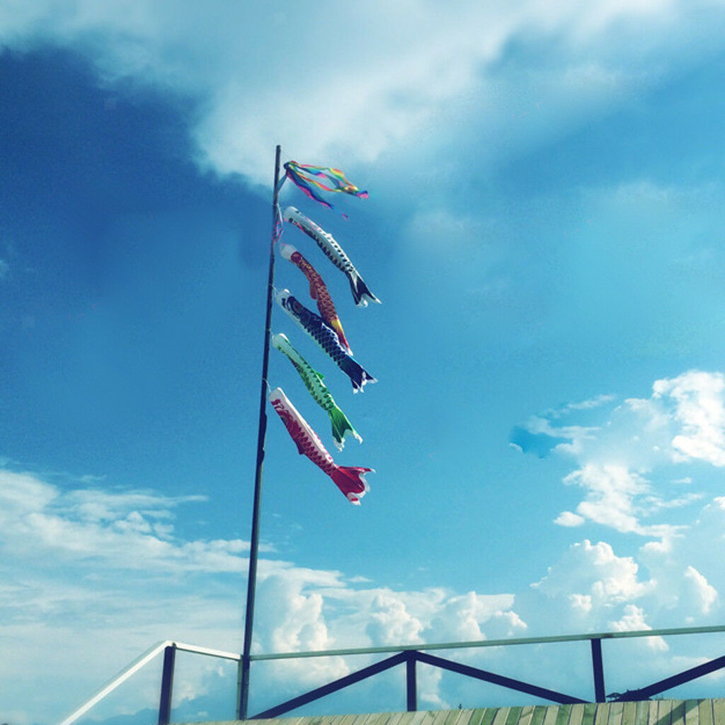 150cm Japanese Carp Windsock Streamer   Flag Kite Nobori Koinobori Green