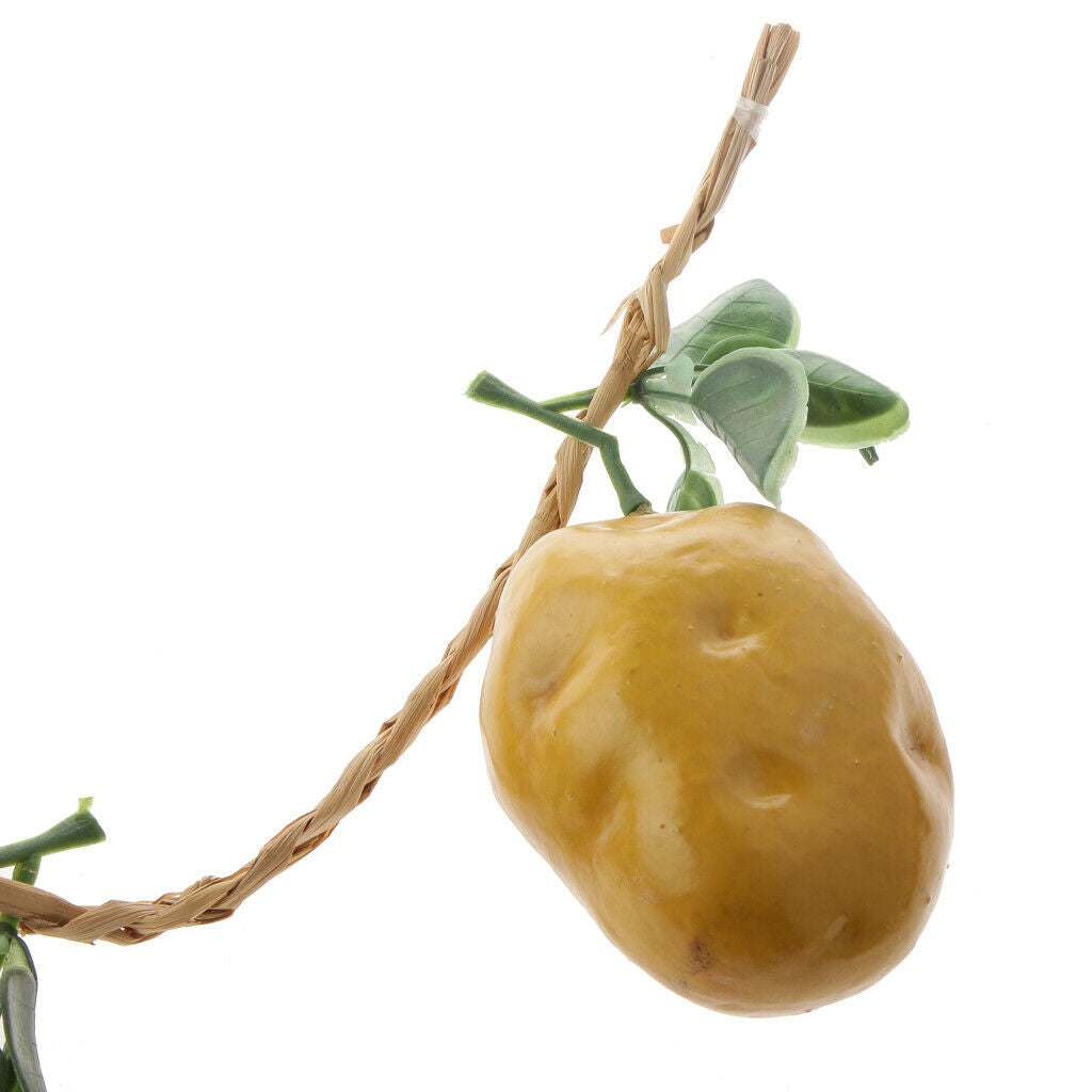4pcs / String Manmade Potato Toys For Home Garden Decoration Wholesale Lot