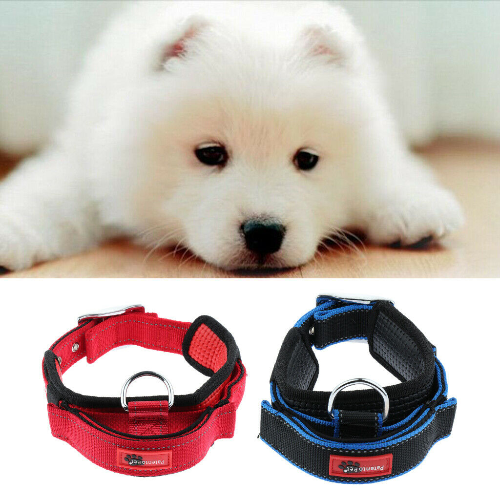 Pet Dog Collar Neck Belt with Adjustable Strap Dog Cat Pet Accessories Red