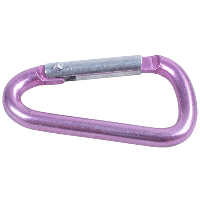10X(Pink aluminum alloy D-shape sp-loaded gate closure carabiner W1N2)