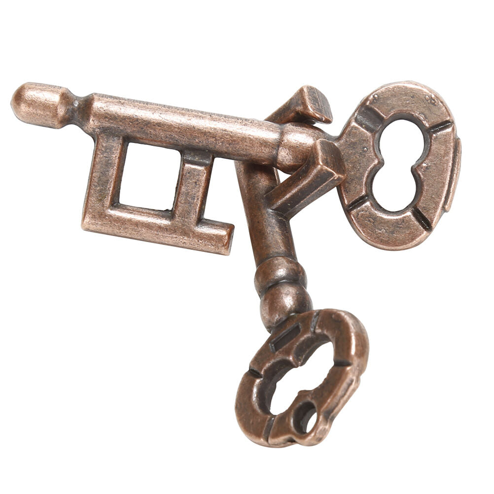 1Pcs Alloy Key Ring Puzzle Brain Tester IQ Test Kids Adults Intelligent Toys DF