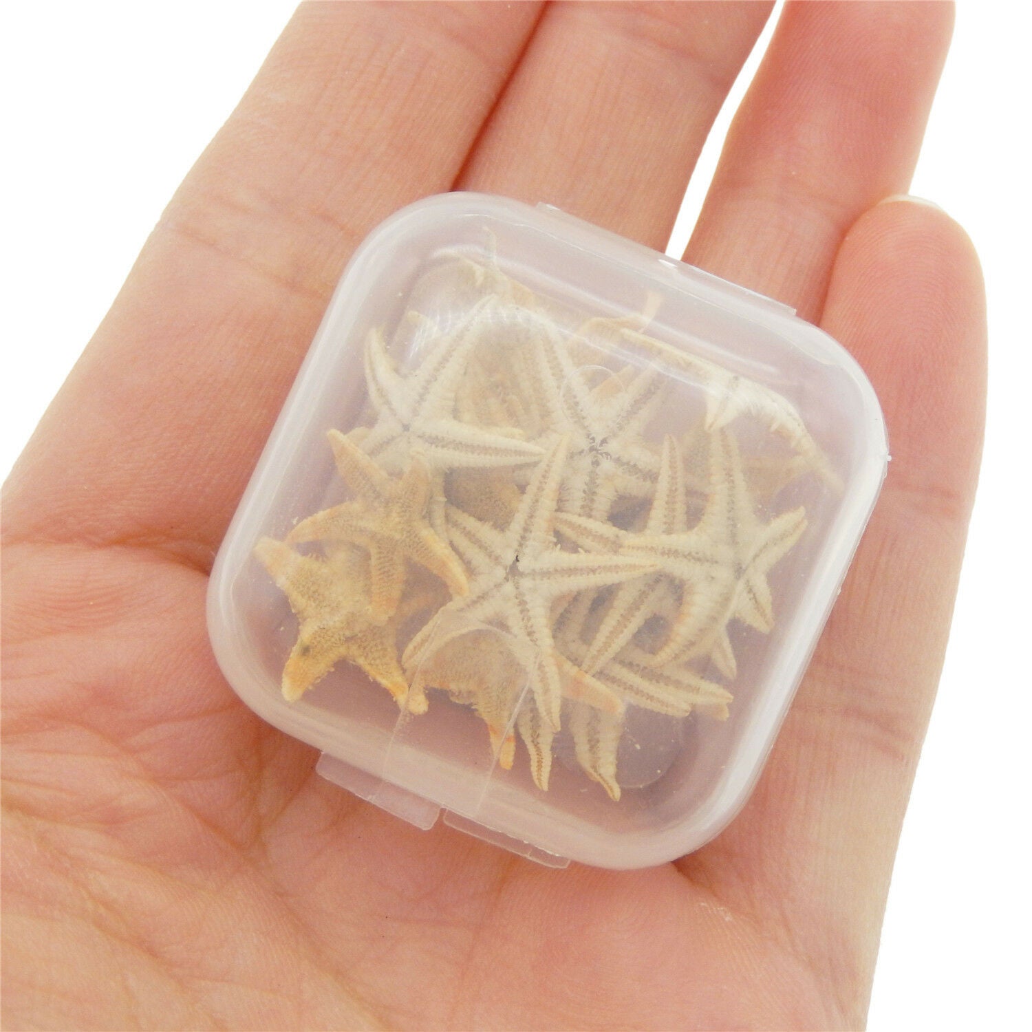 40 pcs Tiny Natural Starfish 15mm ~ 25mm Ornaments Flat Crafts Nautical Decor