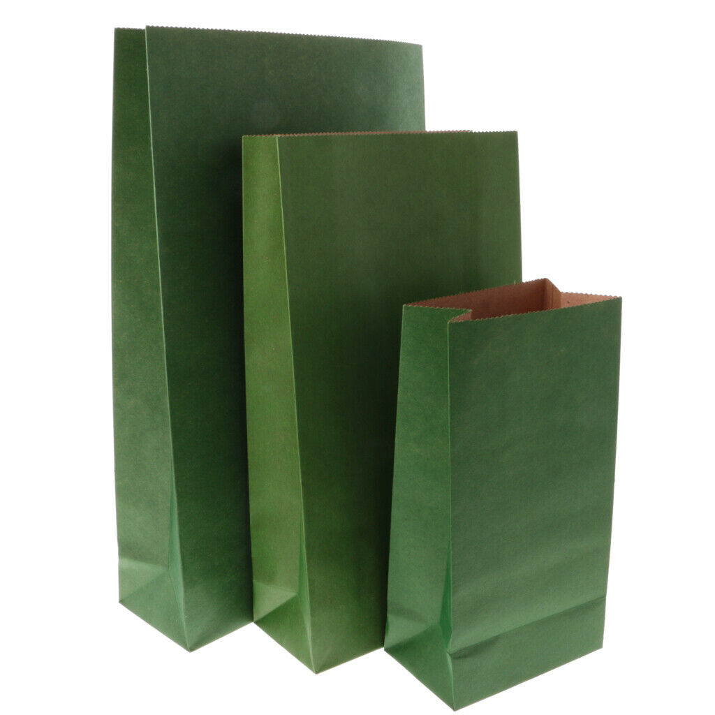 10x Kraft Paper Block Bottom Paper Candy Buffet Flat Notion Treat Bags L Dark