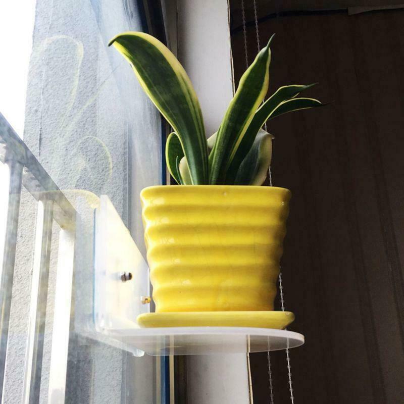 Ledge Suction Cup Window Shelf Acrylic Plant Shelf For Garden Bathroom Organizer