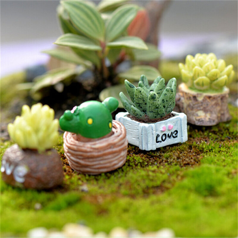 Moss Micro Landscape Ornaments Love Pot Plant Mix Size Fairy Garden Decor.l8