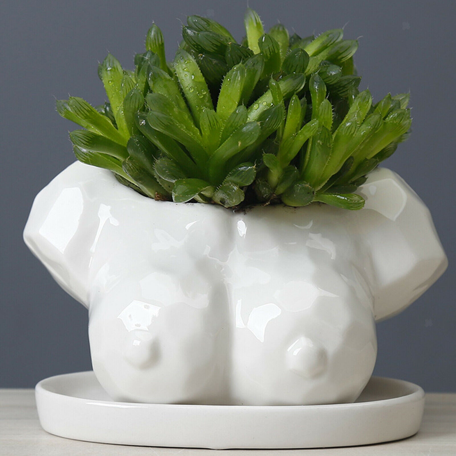 Flower Pots Ceramic Flowerpot Tabletop Decoration Succulent Planter Pot