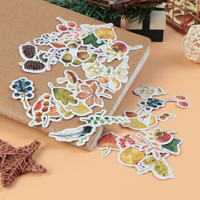 46pcs/lot Autumn Fallen leaves Plant Paper Diary Mini Cute box Stickers s.l8
