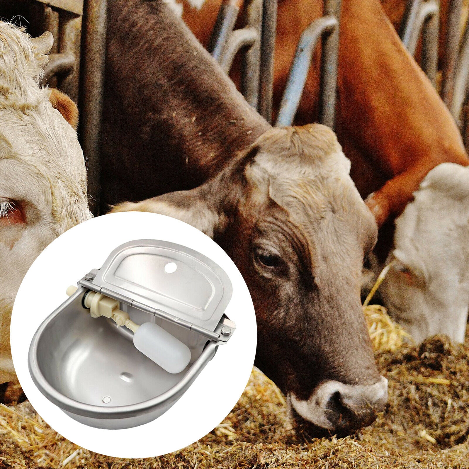 Automatic Stock Feeder Trough Bowl Dispenser Waterer Drinking Waterer