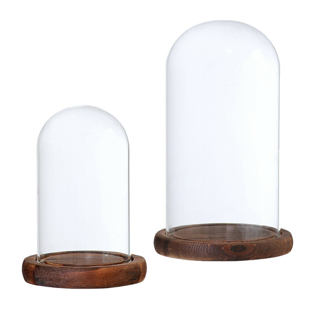 Set of 2 Decorative Cloche Toys Holder Terrarium with Cover & Base for Decor