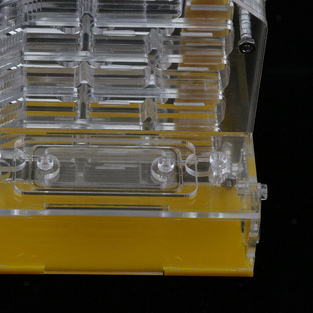 Safe & Reliable Ant Transparent 4x2x5 inch Feeding Box Formicarium