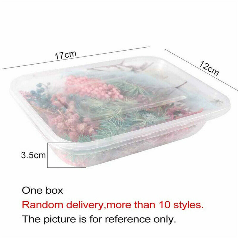 Dried Flower Aromatherapy Candle Making DIY Material For Candle Soap Mak CgR XC