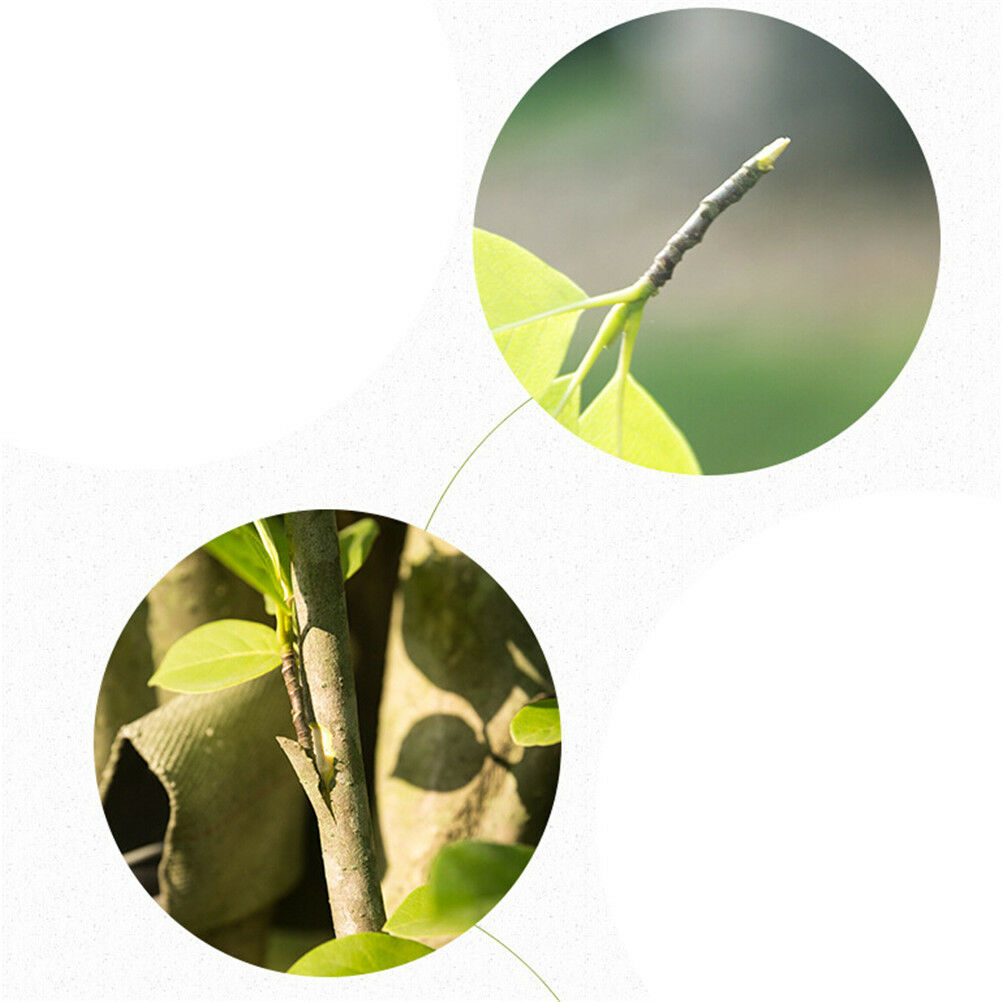 Plant Pruning Strecth Graft Budding Tape Floristry Pruner Fruit Tree Graft.l8