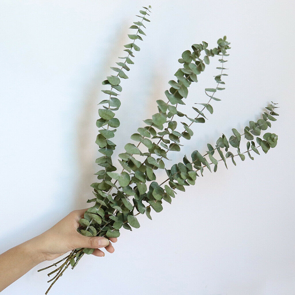 10Pcs Eucalyptus Leaves DIY Bouquet Centerpiece Home Decoration Supplies