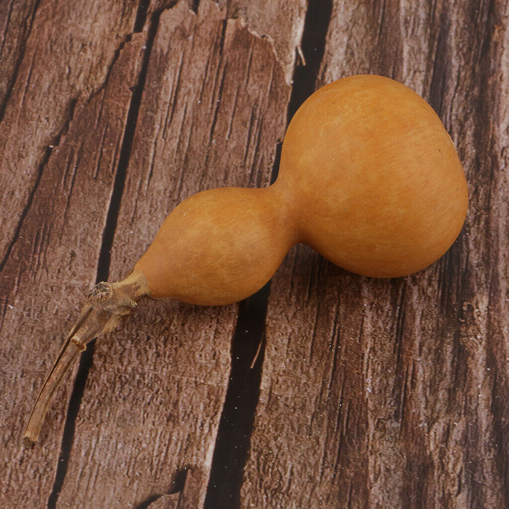 Natural Tiny Real Dried Gourd Ornaments Home Decoration Beaut Paint Gift