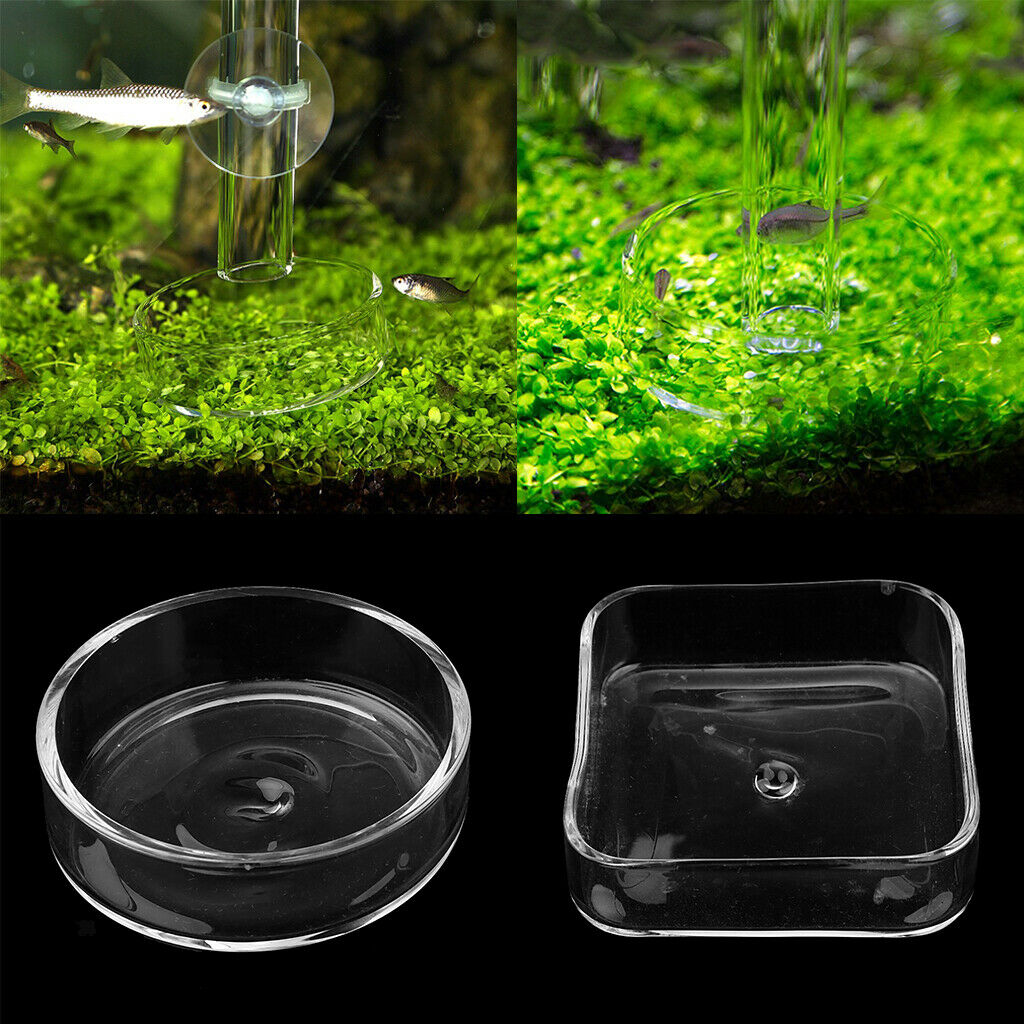 Set of 2, Aquarium Crystal Clear Glass Square & Round Red Shrimp Snails Feeding
