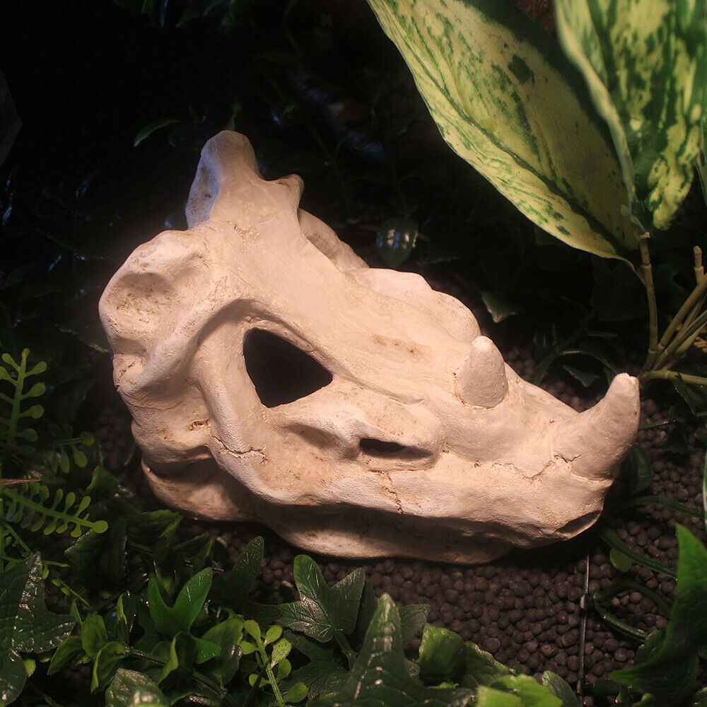 Aquarium Fish Tank Simulate Bone Reptile Terrarium Hide out Landscape NS-126