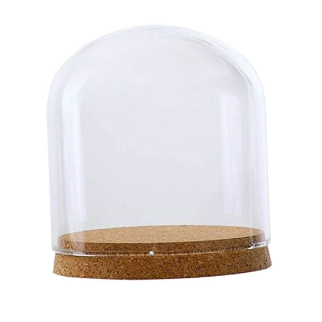 Glass Cloche Dome Cover Succulent Terrariums with Wood Cork Tabletop Decor S