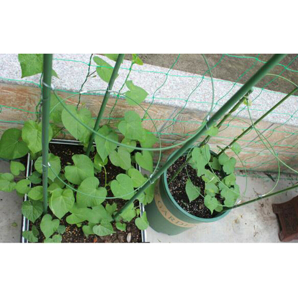 2x 60cm Durable Plant Climbing Support Cage Trellis Flowers Rack Stand Frame