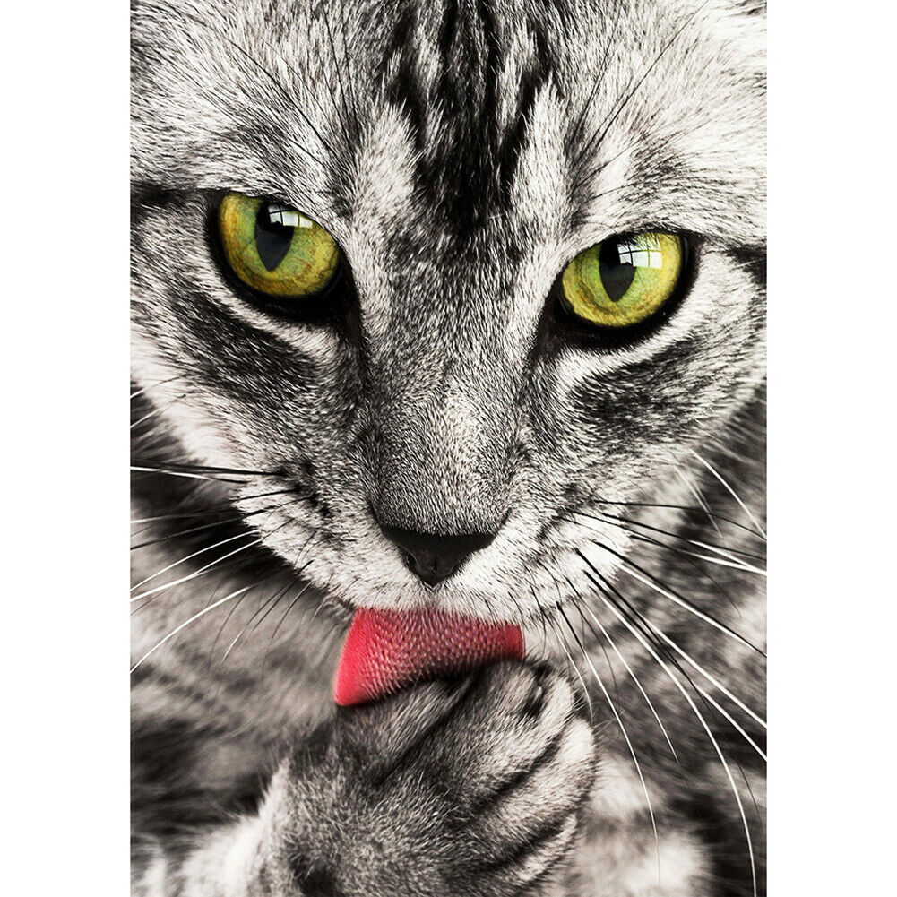 Scary Cat 5D Round Diamond Painting Cross Stitch Mosaic Rhinestone Crafts @