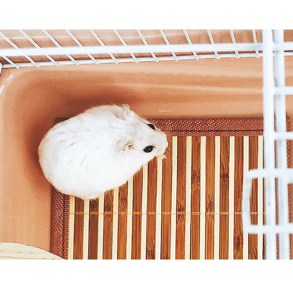 2Pack Chinchilla Hamster Cooling Mat Pad Bamboo Summer Small Animal Cold Bed