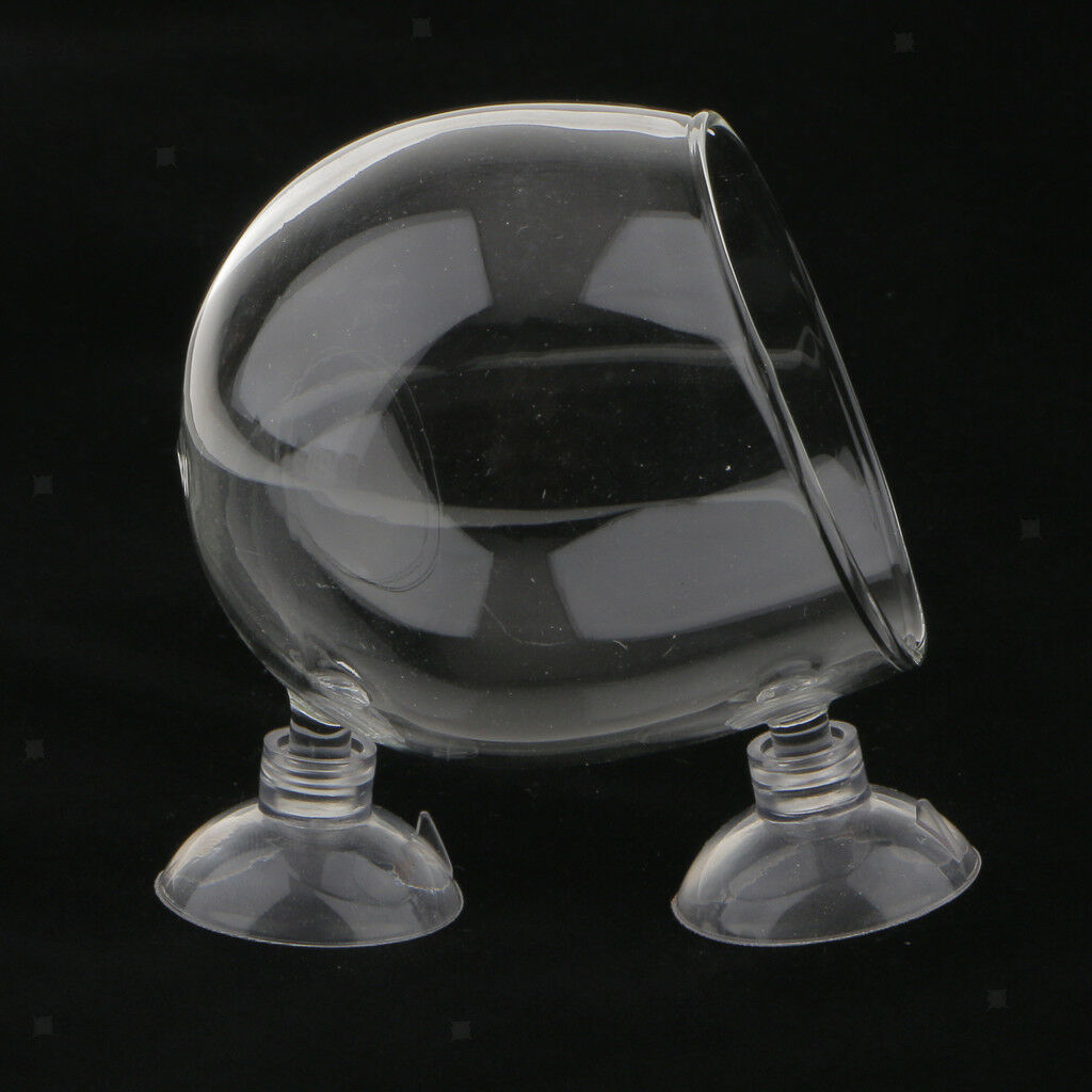 Set of 2,   Tank Decor Aquatic Plant Crystal Glass Planter Suction Cup