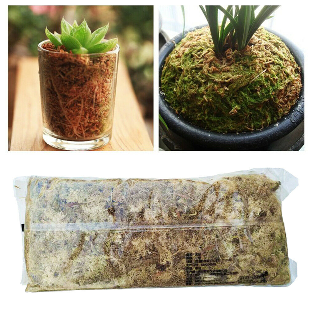 2 Bag Dry Terrarium Sphagnum Moss Succulents Garden Plant Care Fertilizers
