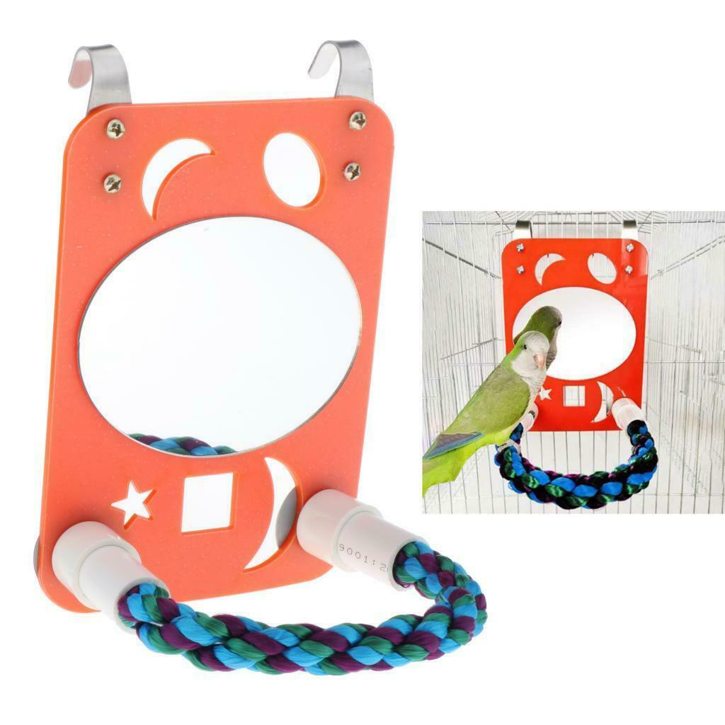 Parrots Large Mirror with Rope Perch for Conure Lovebirds Canaries Little Macaw