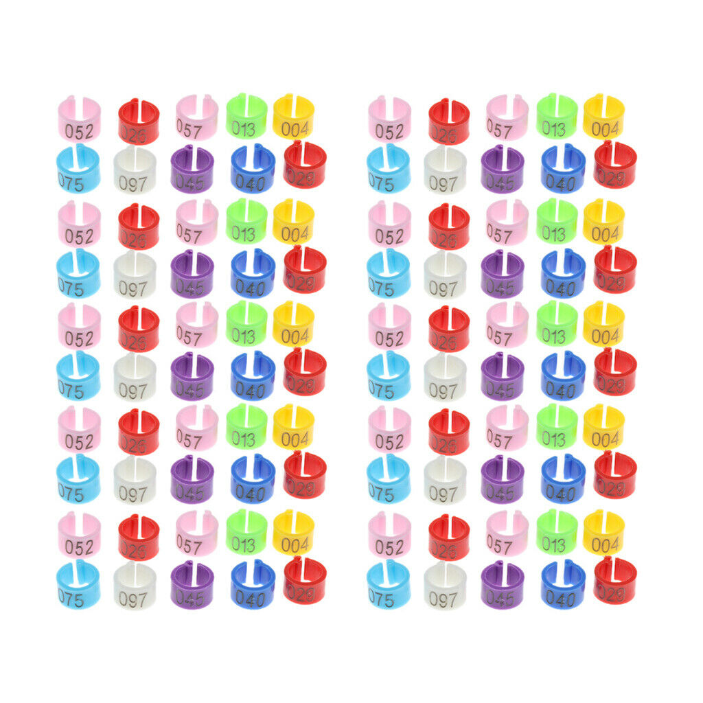 100Pcs Plastic Pigeon Leg Rings Bird Rings Identification Race Colorful Ring