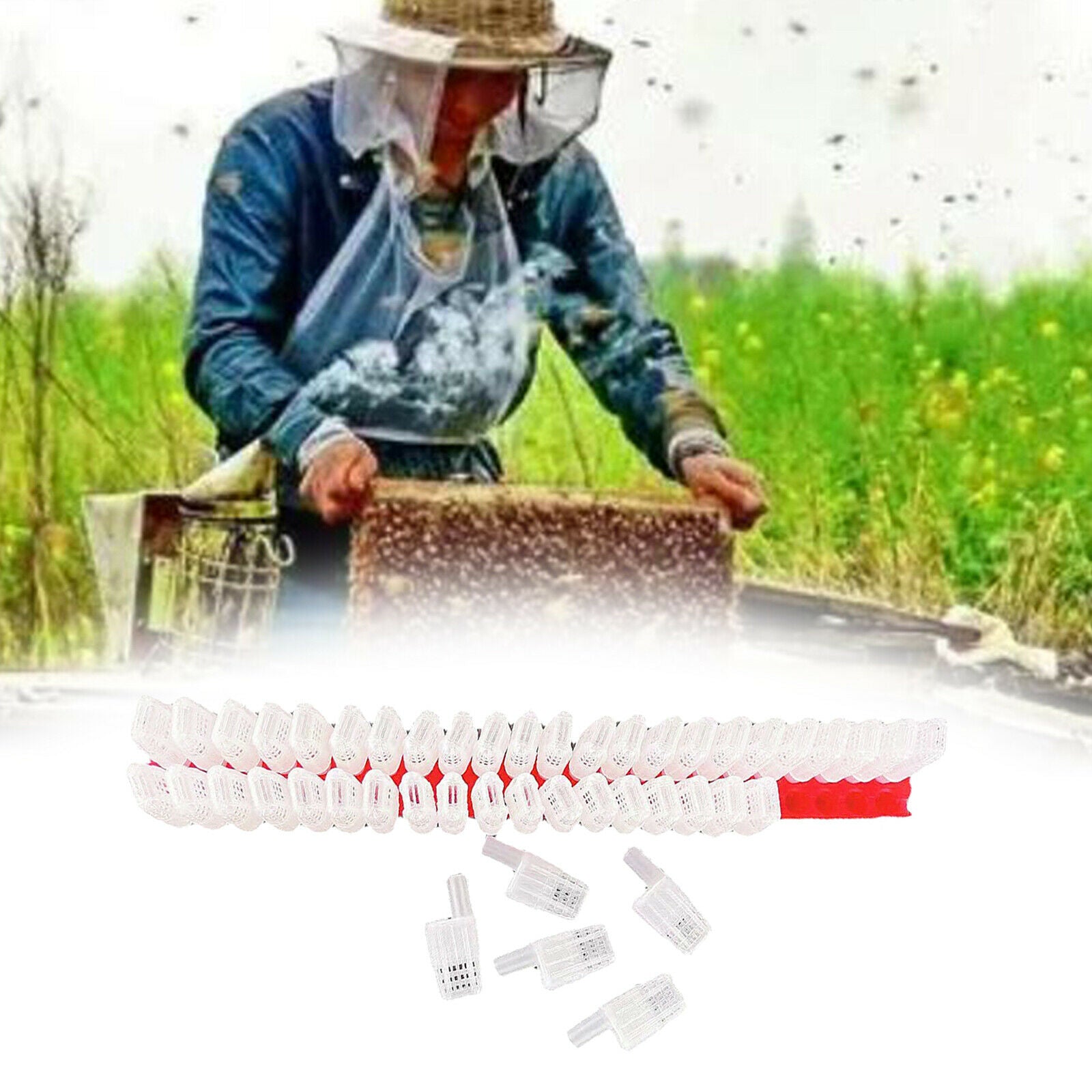 46x Professional Plastic Queen Bee Moving Isolator Trap Cage Case Beekeeping