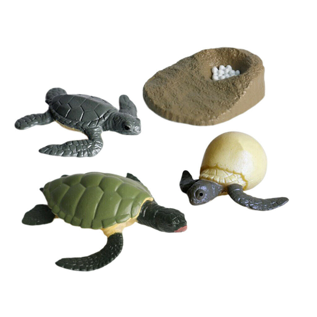 Lots 4 Solid Growth Cycle Realistic Sea Turtle Figures Kids Collectibles