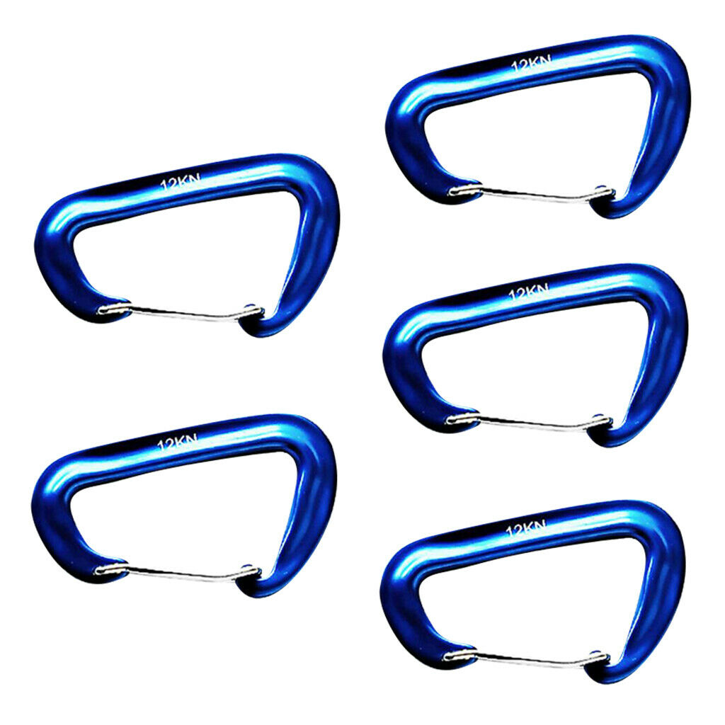 5 Pieces 12KN   Climbing Carabiner Clip Keychain Hammock Hook blue