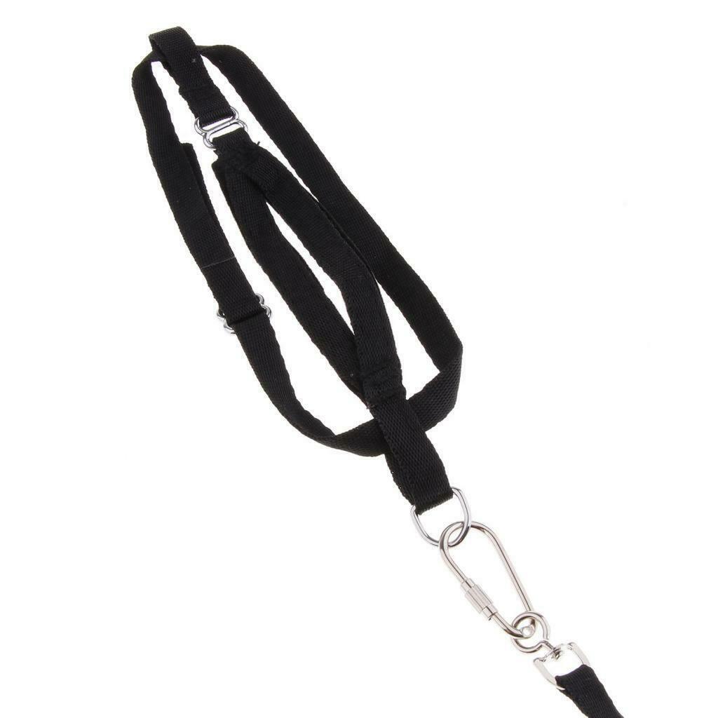 Parrot Bird Leash Outdoor Adjustable Harness Training Rope For Budgerigar Finch
