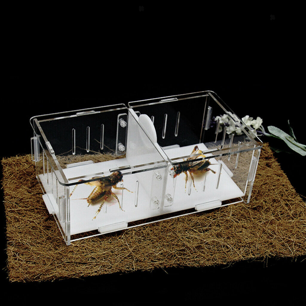 High Transparency Acrylic Reptile Cricket Cage, Fighting Box