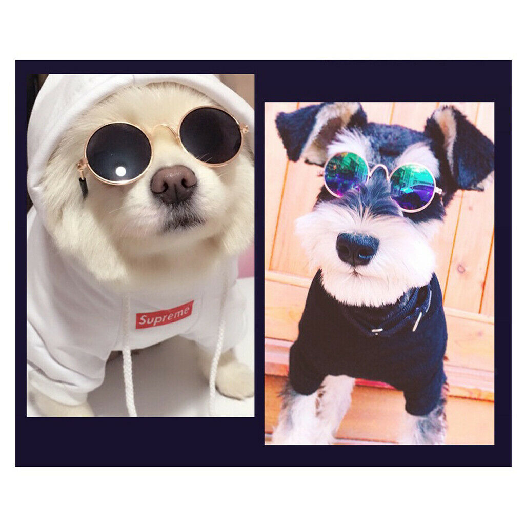 Fashion Cool Grooming Sunglasses Sun Glasses Accessories For Small Pet Dog