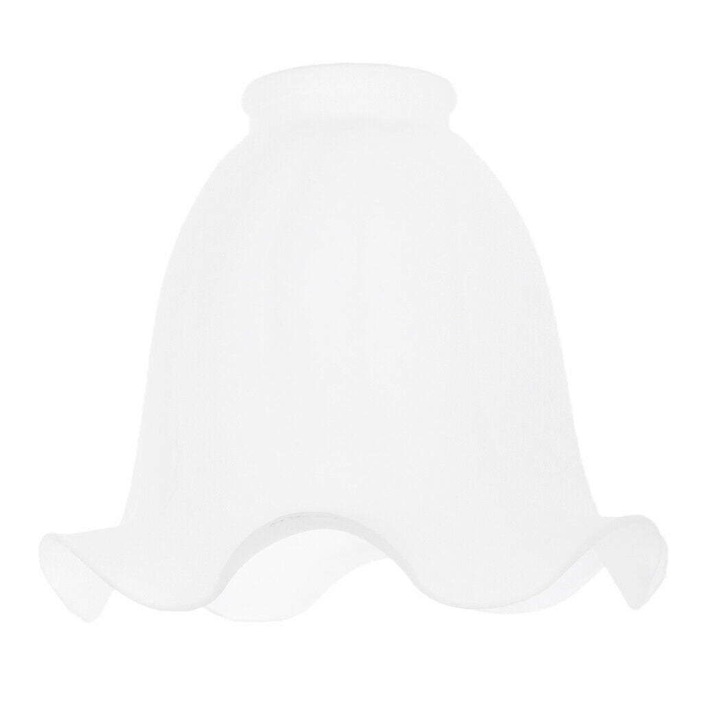 2Pcs Ceiling Light Shade Suitable for Chandelier, Ceiling Lamp, Wall Lamp