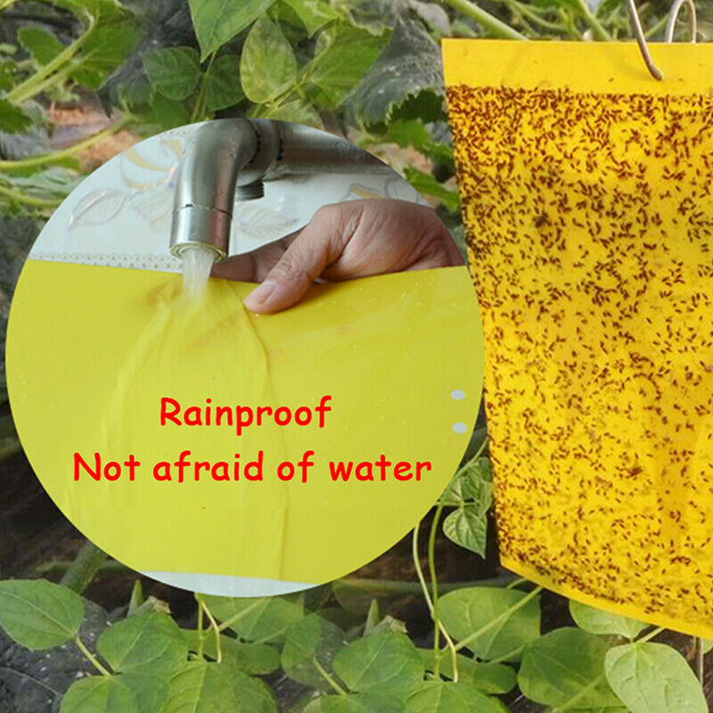 5PCS Fly Trapper Dual-Sided Yellow Sticky Traps Flying Plant Insect stick.l8