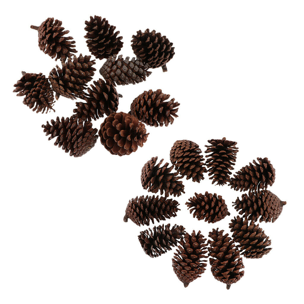 20x Real Pine Cone Dried Big Pinecones For DIY Wreath Hanging Ornaments