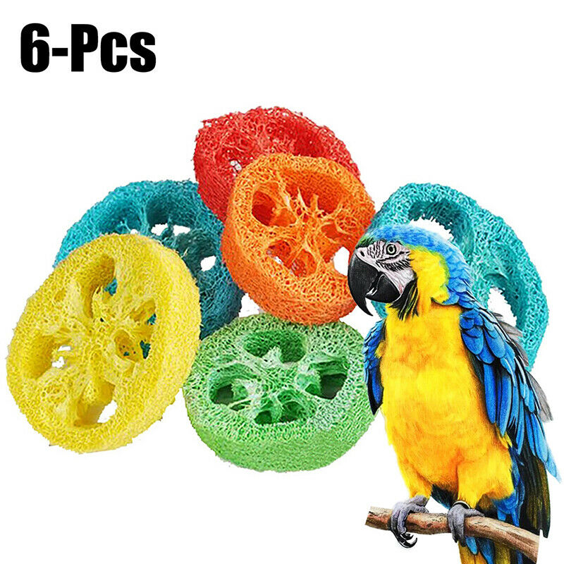 6 PCS Loofah Parrot Chew Toys Luffa Slices Shaped Bird Chew Toys Bird T JD