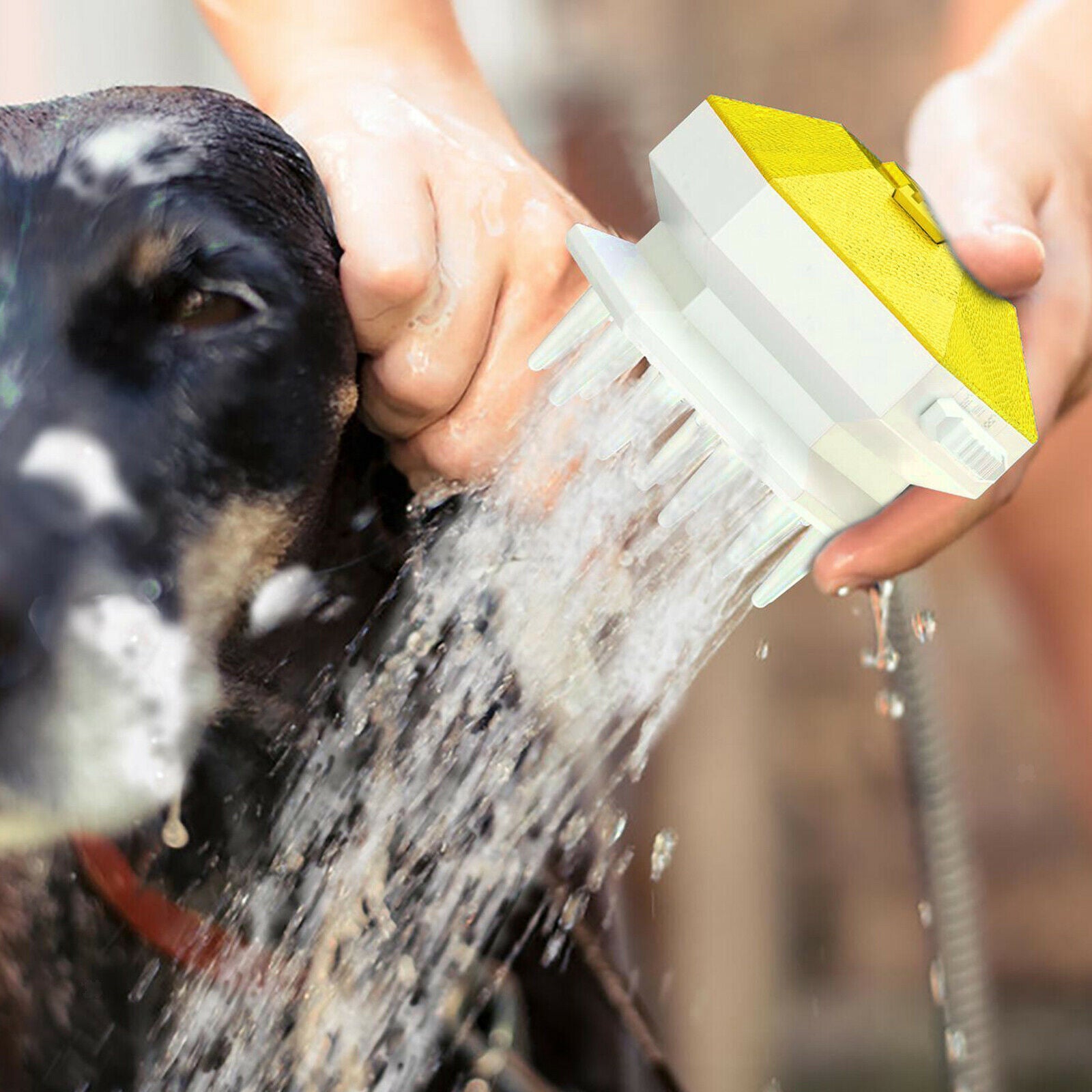 Pet Bathe Shower Sprayer Head Massge Scrubber Comb Brush for Dogs Cat Yellow