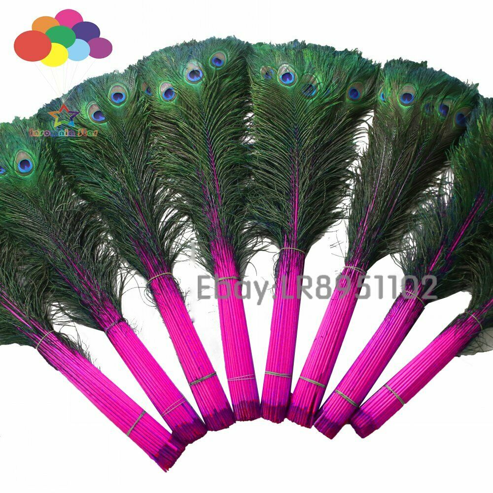 100 PCS Rose red Peacock Feather 70-80cm DIY Clothing Decoration Plumage Crafts
