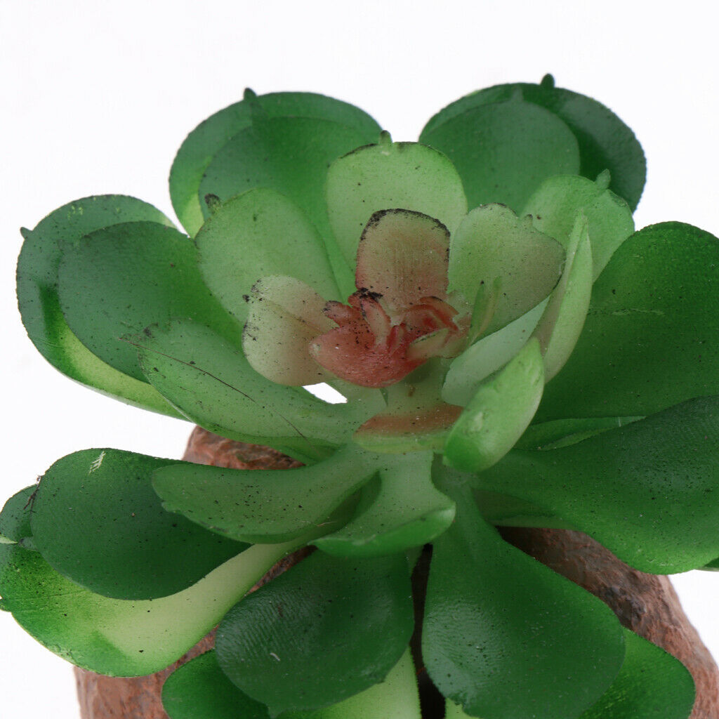 2pcs Animated Plants Underwater Decor Landscape Reptiles Snakes Hidden Cave