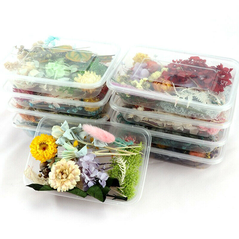 1Box Random Real Dried Flower Dry Plants DIY Aromatherapy Candle Epoxy Re.l8