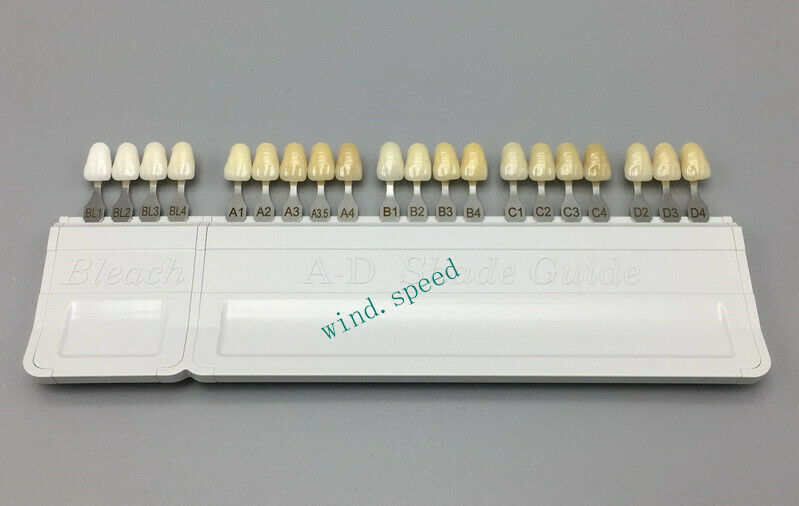 lvoclar Vivadent Dental Teeth Shade Guide A-D 20 color Porcelain Tooth Bas VITA