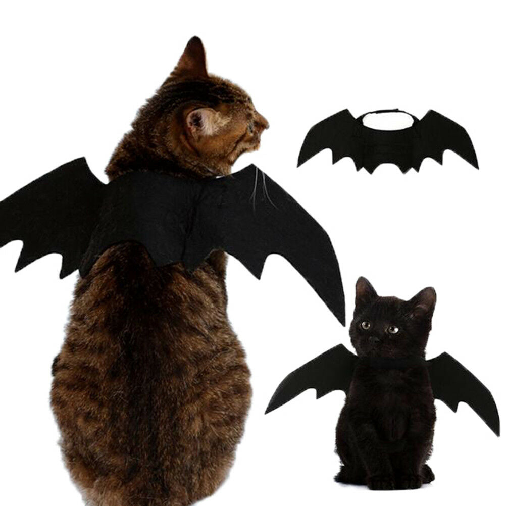 Lovely for small pet dog cat bat wings halloween wings halloween costume_ZTS Pb